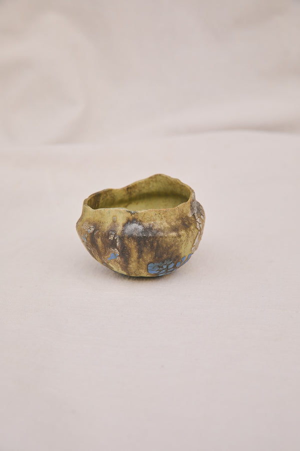 Meadow Rimmed Bowl