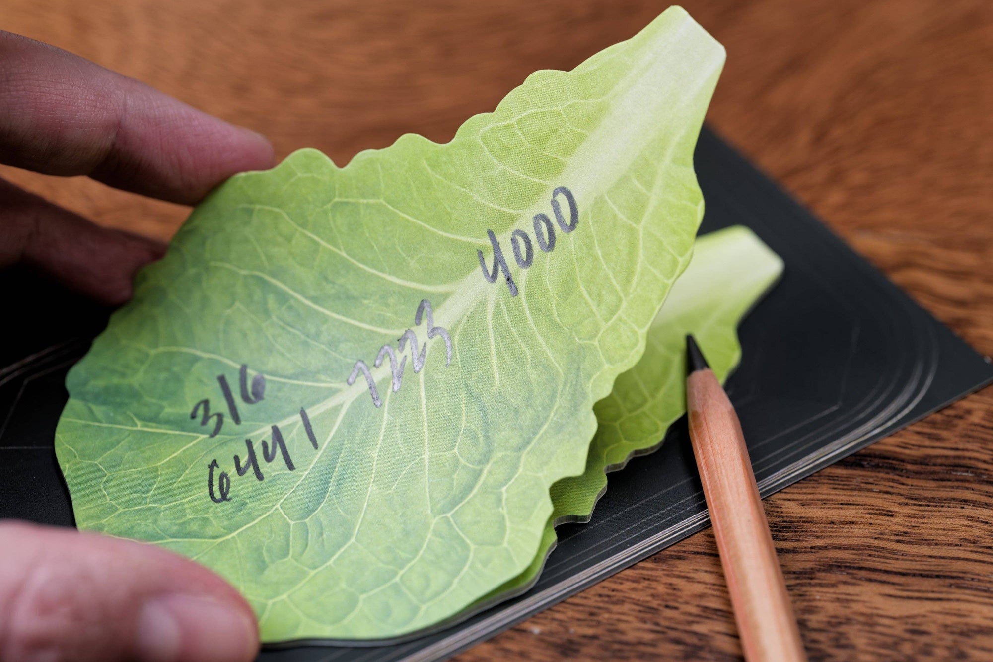 B8 Mart Sticky Notes, Lettuce Leaf