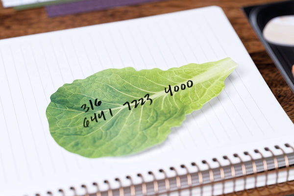 B8 Mart Sticky Notes, Lettuce Leaf