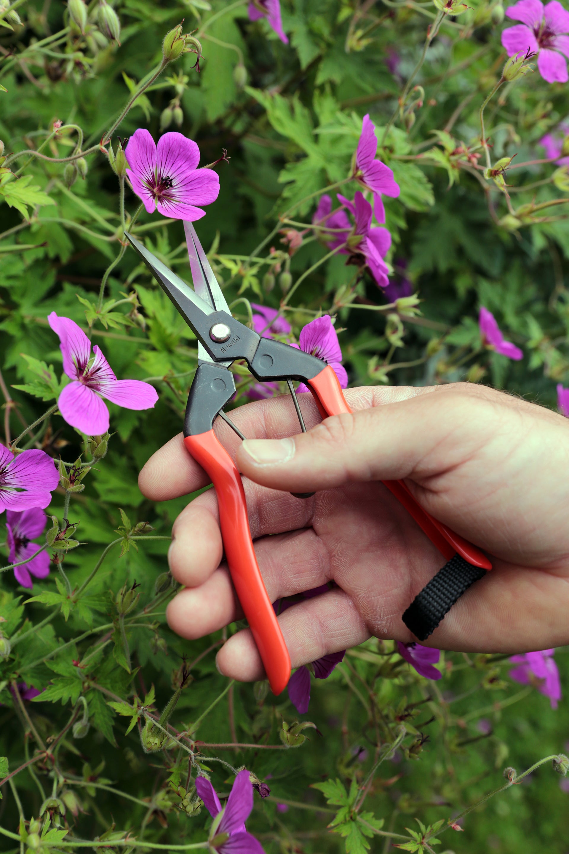 Niwaki Garden Snips