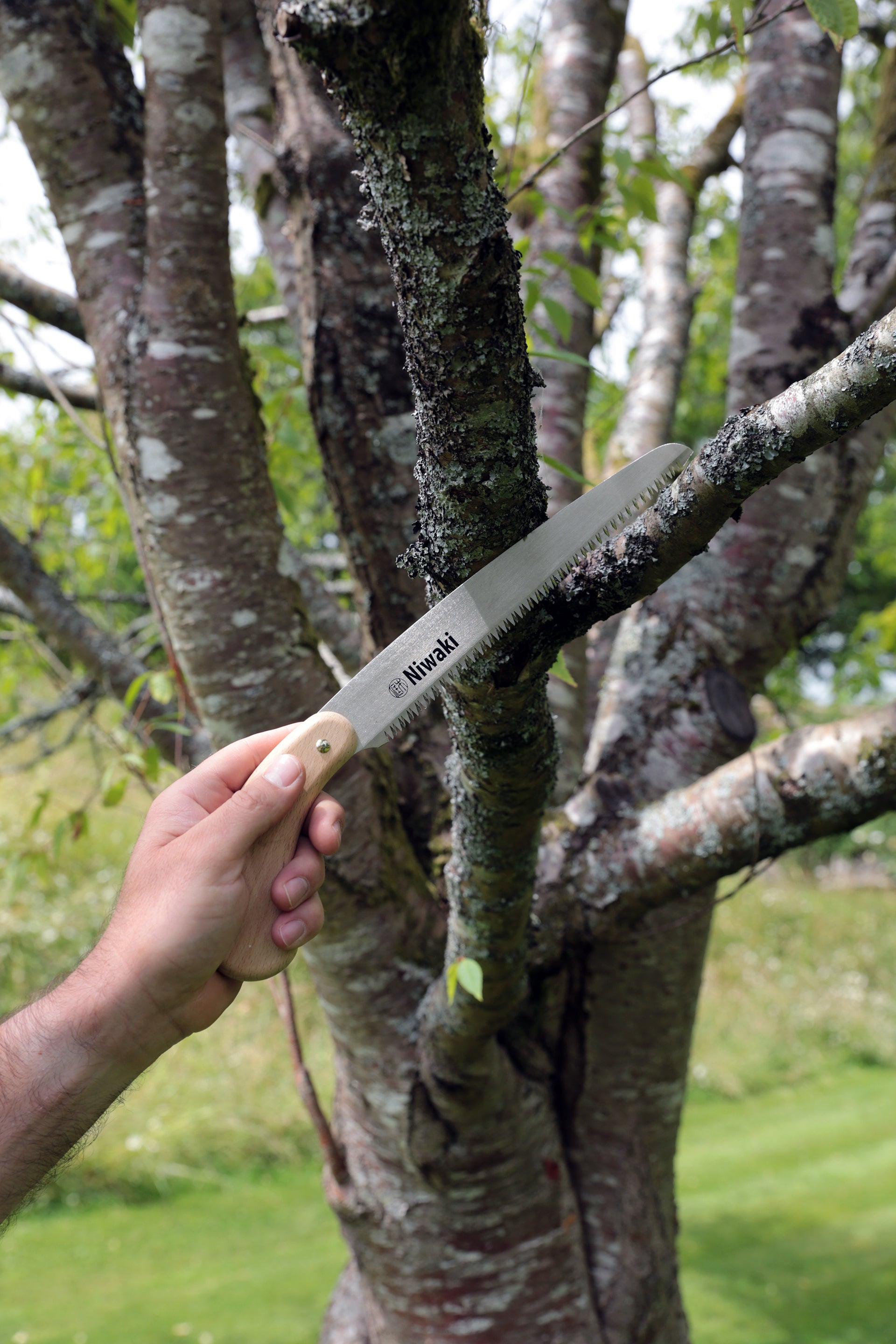 Niwaki Moku Folding Saw