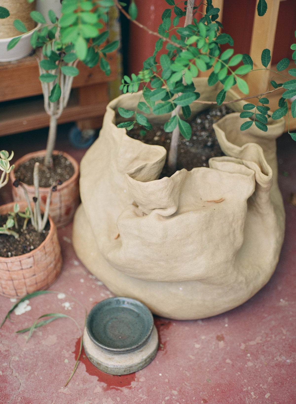 One Big Pot