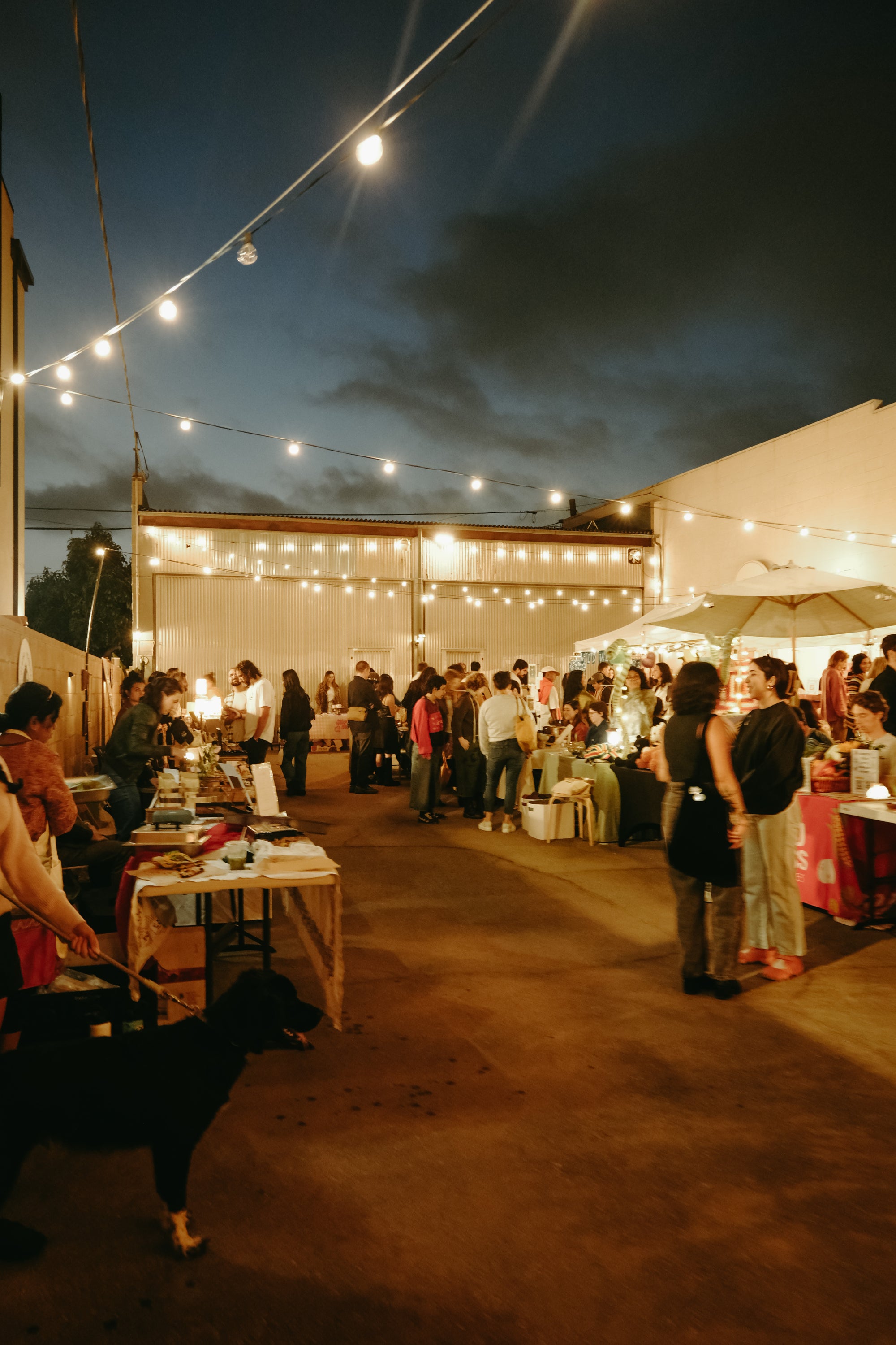 Valentine's Day Pop-Up!