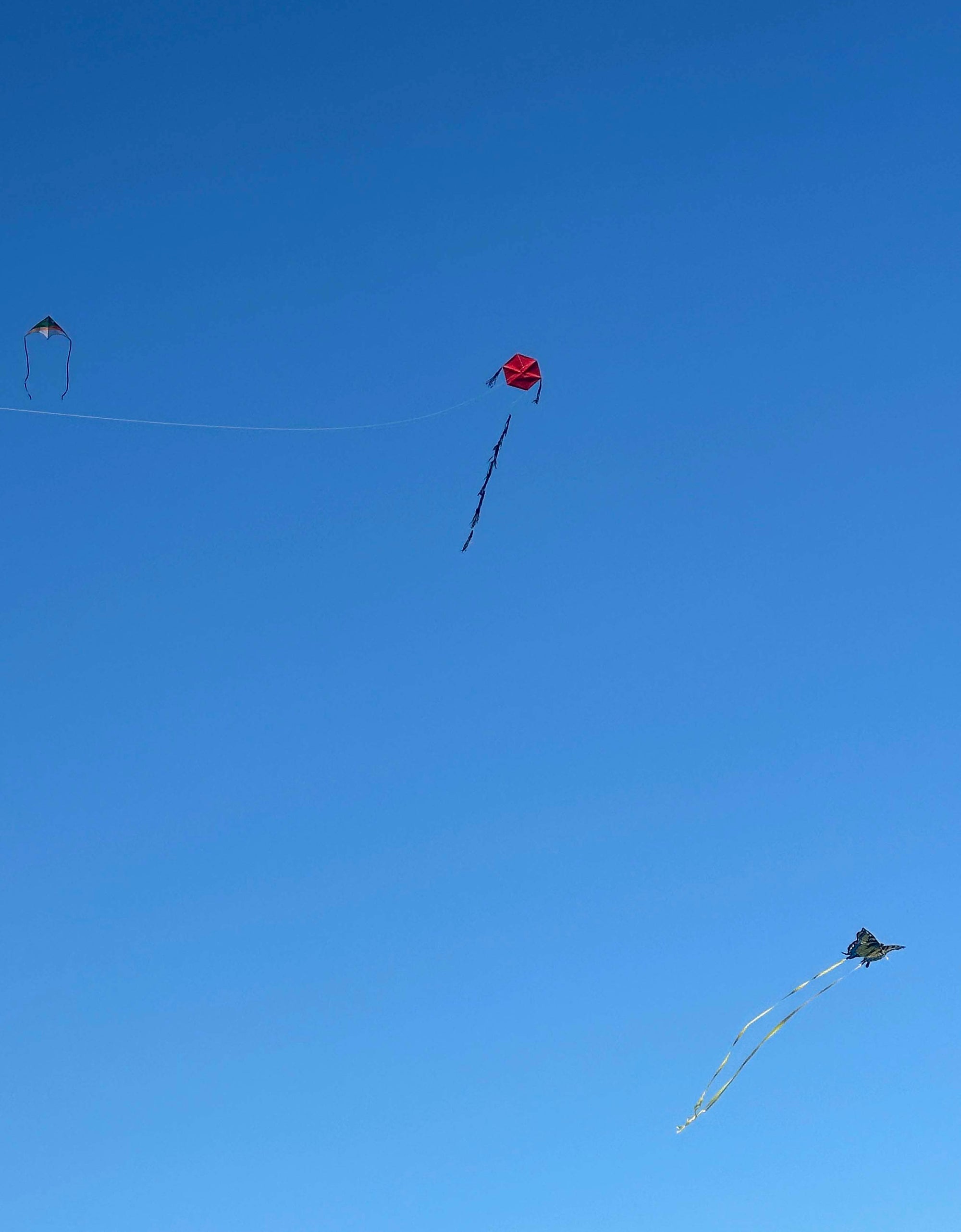 Kites for Liberation: An Anti-War Kite Workshop with Yaeun Stevie Choi - May 3