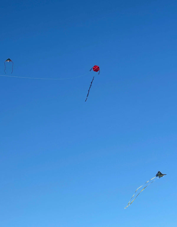 Kites for Liberation: An Anti-War Kite Workshop with Yaeun Stevie Choi - May 3